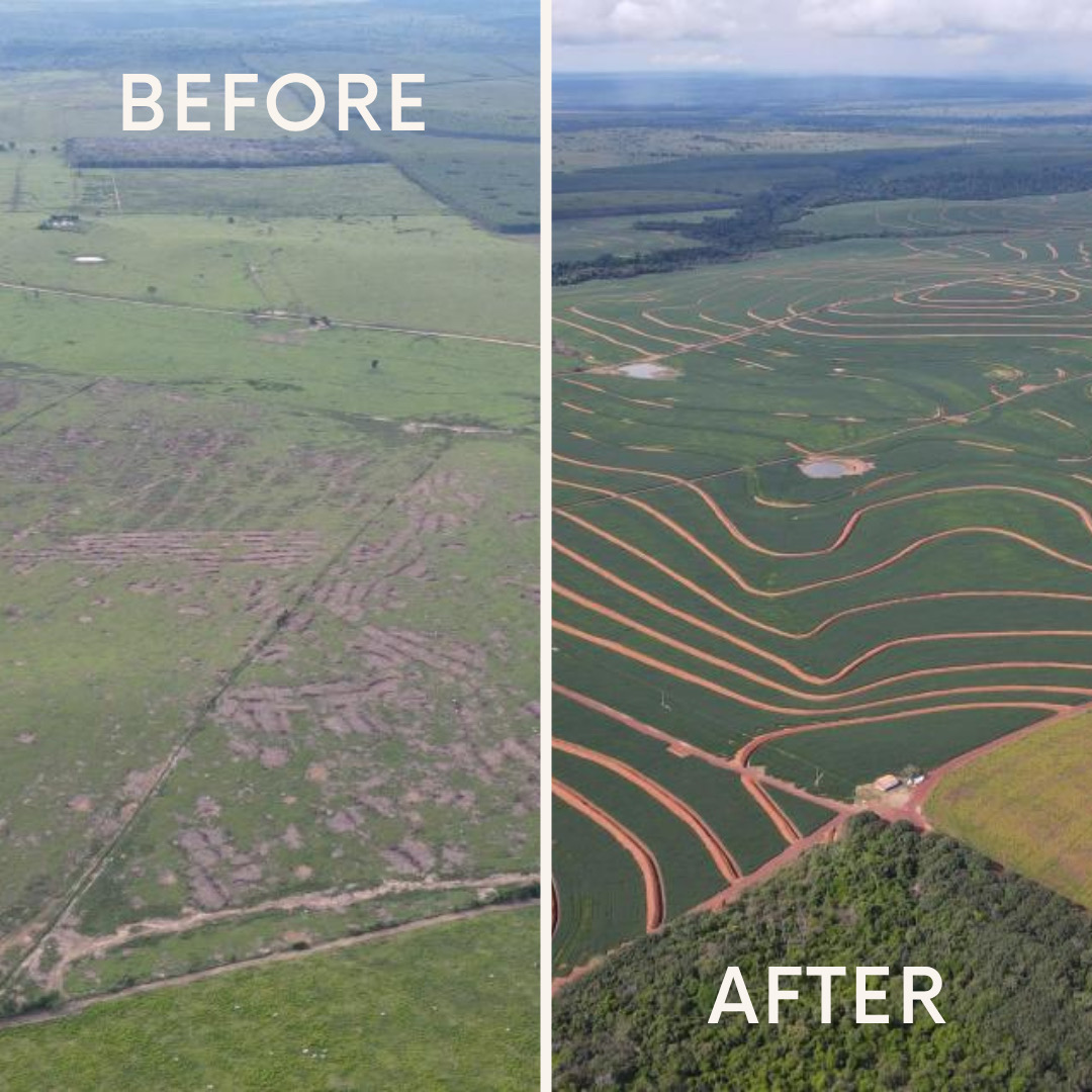 COP30 before and after EN