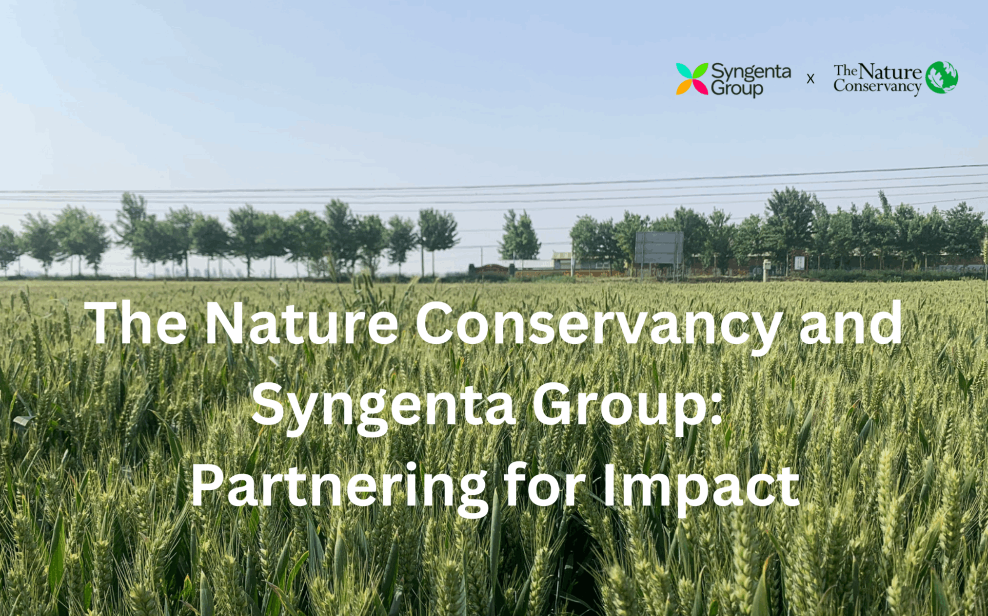 Partnership with the Nature Conservancy banner