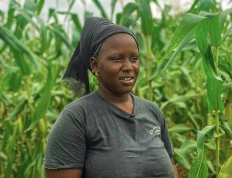 Woman in a corn field