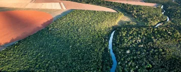 TNC - A Savana in Cerrado