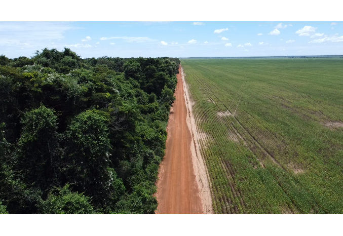  Regenerating degraded land in Cerrado Brazil - image